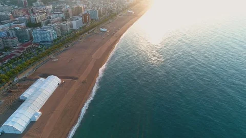 Callela Stock Footage 76363213