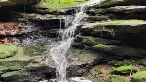 Callicoma cascade Stock Footage 146055713