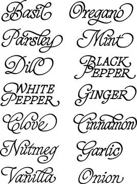 Calligraphic names of spices on a white background. Stock Illustration
