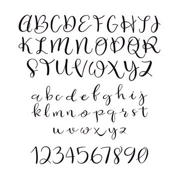 Calligraphic vector script font イラスト素材