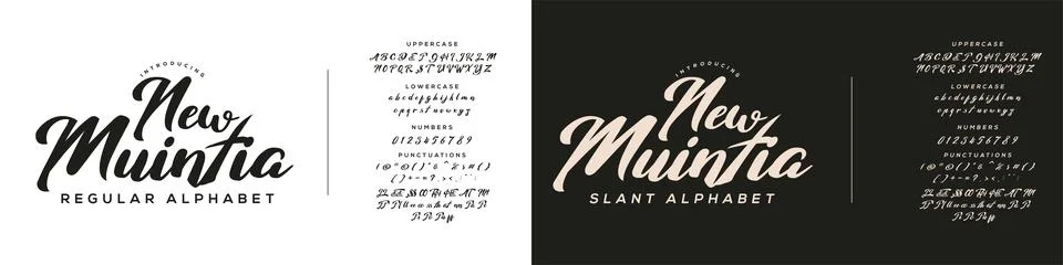 Calligraphy Brush Script Font Duo Vector Illustrazione stock