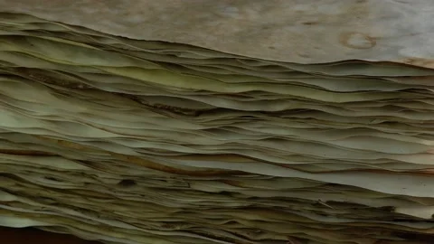 Calligraphy education and school concept. Ancient parchment papers on the woo Stock Footage 171032829