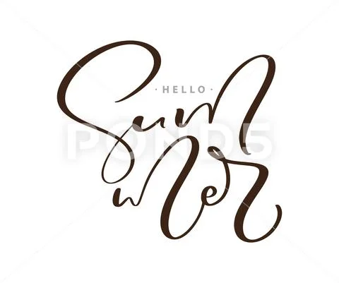 Calligraphy lettering brush text Hello Summer. Vector Hand Drawn ...