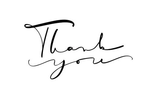 Calligraphy lettering Vector text Thank you. Isolated on white background. Hand Stock Illustration