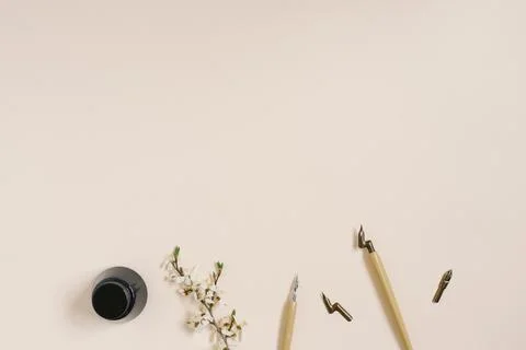Calligraphy, sharp pen, ink, feather, flower of Apple trees on a beige backgr Stock Photos