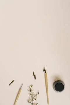 Calligraphy, sharp pen, ink, feather, flower of Apple trees on a beige backgr 写真素材