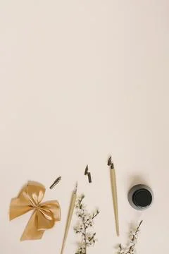 Calligraphy, sharp pen, ink, quills, apple blossom, bow on beige background.. Stock Photos