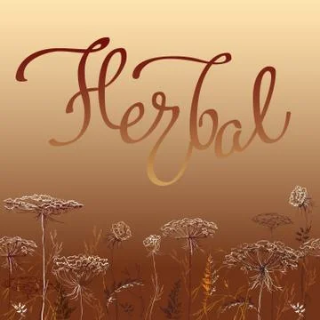 Calligraphy sign herbal 1 Stock Illustration