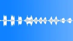 Calling and wing flapping of Cape turtle dovesSound Effect