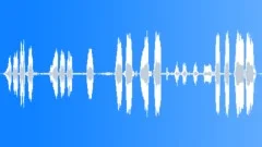 Calling of a black crow, South Africa Sound Effect