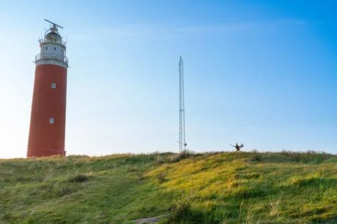 Calling pheasant on the field Stock Photos