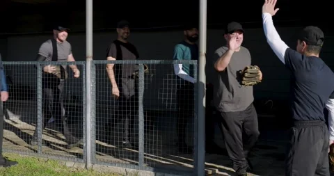 Calling players, coach grabbing baseball gloves at dugout and passing via fence Stock Footage 342491987