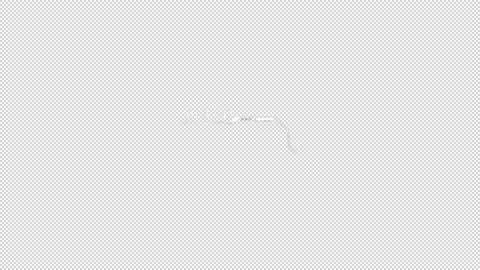 CALLLOUT 010-sh-alpha Stock Footage 172401445