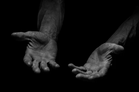 Calloused hands of a worker. Stock Photos