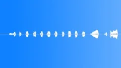 Calm 2 Chicken 1Sound Effect