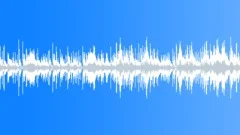 Calm Acoustic Loopable MusicStock Music