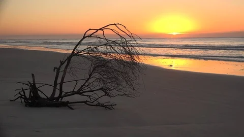 Calm after the storm Stock Footage 71742426