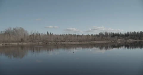 Calm Alaskan Lake with Clouds Reflected and Geese Swimming Stock Footage 152957907