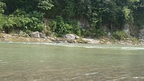 Calm and clear river flow refreshing under the hot sun Stock Footage 195975750