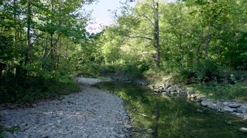 Calm and Peaceful Stream Stock Footage 239289918