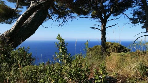 Calm and relaxation in front of the deep blue sea Stock Footage 161521299