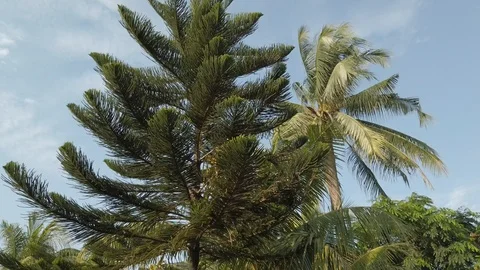 Calm and Windy Stock Footage 123748694