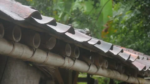 A calm atmosphere during the rain Stock Footage 327190763