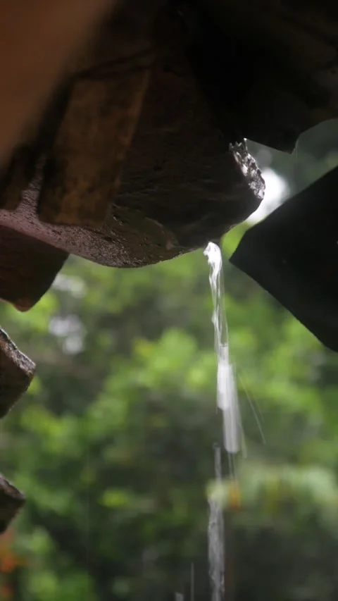 A calm atmosphere during the rain Stock Footage 327190825