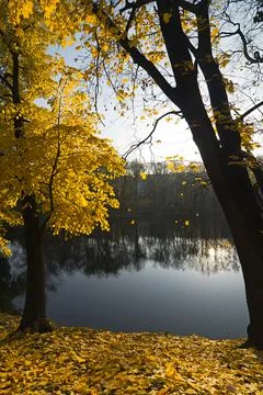 Calm autumn Stock Photos