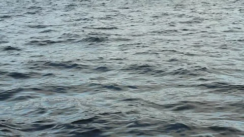 Calm backgrounds of blue water as a texture, flood in the spring season, swaying Stock Footage 148224735