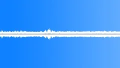 Calm Backyard Ambience - Loop Sound Effect