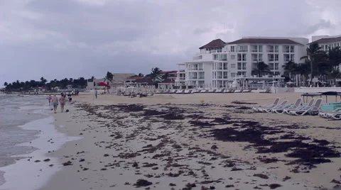 Calm beach and houses Stock Footage 56740341