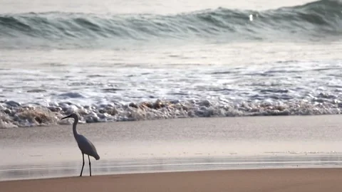 Calm beach background with waves splashing the shore gently having a white .. Video stock 326227440