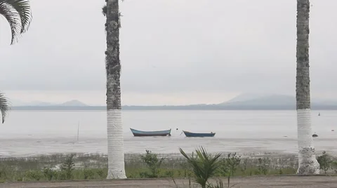 Calm beach in Brazil 库存影片 52179912