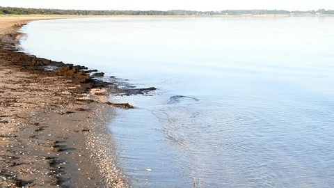 Calm beach Stock Footage 90245697