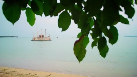 Calm beach with gentle waves and green leafy tree branches in the foreground Stock Footage 332380542