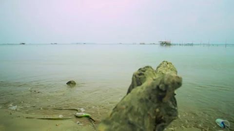 Calm beach with gentle waves Stock Footage 332380533
