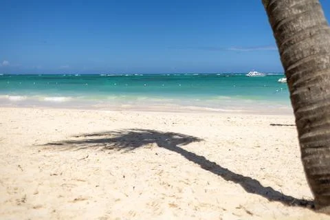 Calm beach with palm tree shadow and turquoise waters on a sunny day Stock Photos