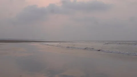 Calm Beach Scene 스톡 동영상 336700336