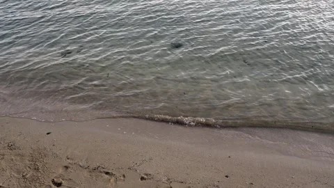 Calm beach in South Florida Stock Footage 255624199
