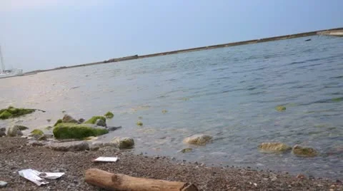 Calm Beach Water Stock Footage 11520308