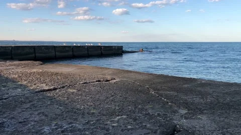 Calm black sea, with a slightly cloudy blue sky, shot from the beach Stock Footage 201972794