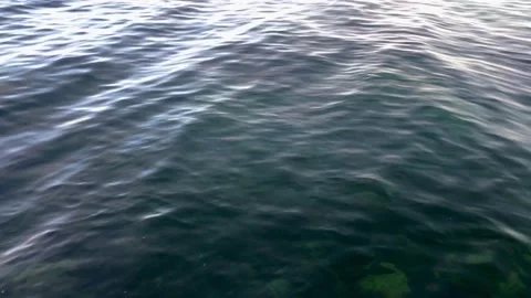 Calm black sea, with a slightly cloudy blue sky, shot from the beach Stock Footage 201972822