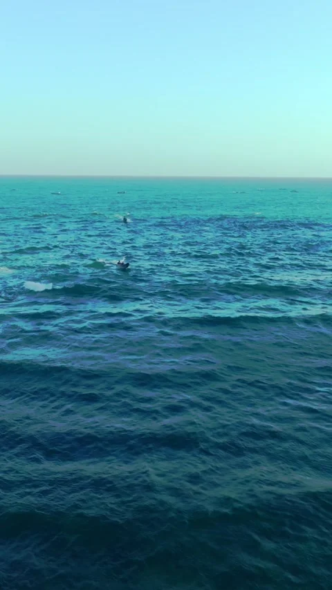 Calm blue ocean extends toward a distant horizon in a peaceful vertical sea.. Stock Footage 341547388