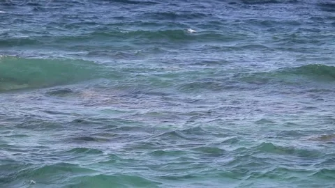 Calm Blue ocean waves Stock Footage 218395476
