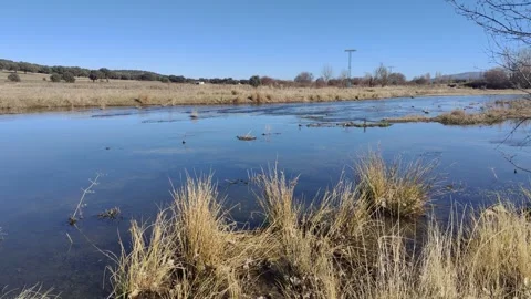 Calm blue river flowing through dry grasslands Stock Footage 340326254