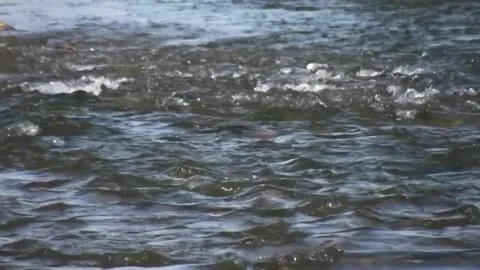 A calm blue river winds its way through a path bordered, stock footage. Stock Footage 304784617