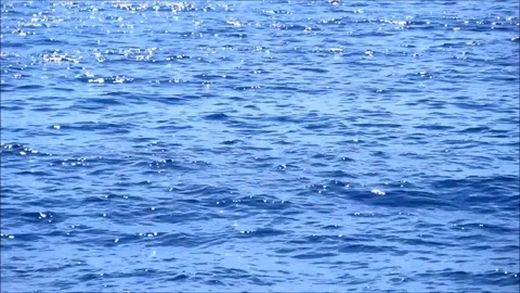 A calm blue sea Stock Footage