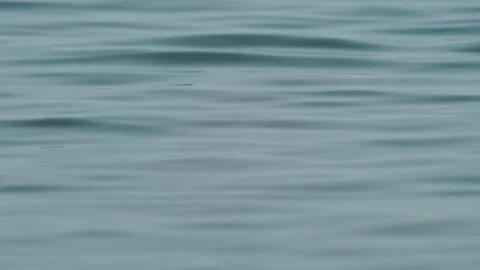 Calm Blue Sea Surface Texture in Morning Light Видео 333812489