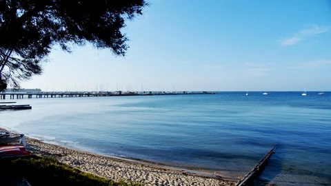 Calm Blue Shady Beach Stock Footage 123623767